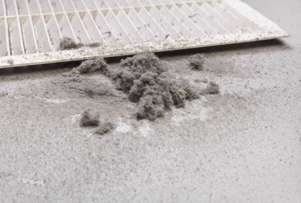 Air Duct Mold Removal in Sunrise, FL