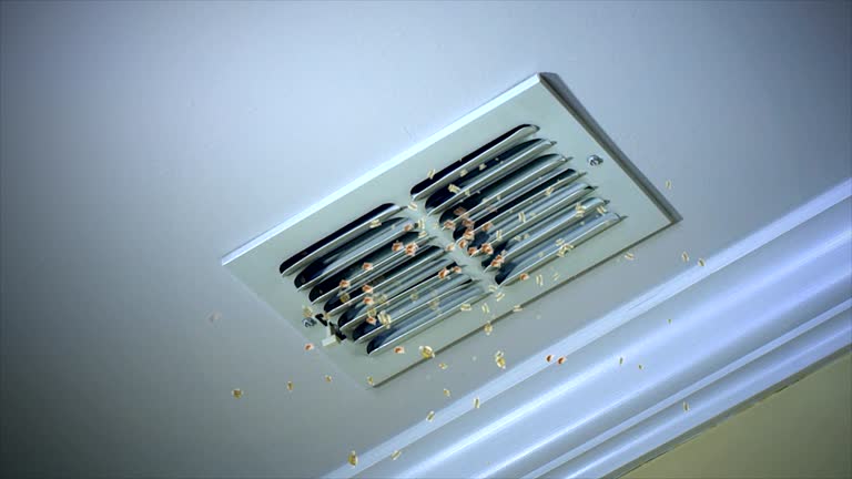 Best Air Duct Cleaning Near Me in Sunrise, FL