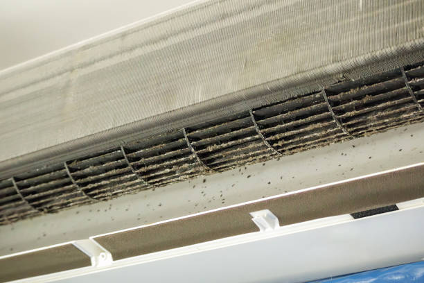 Best Local Air Duct Cleaning Services  in Sunrise, FL
